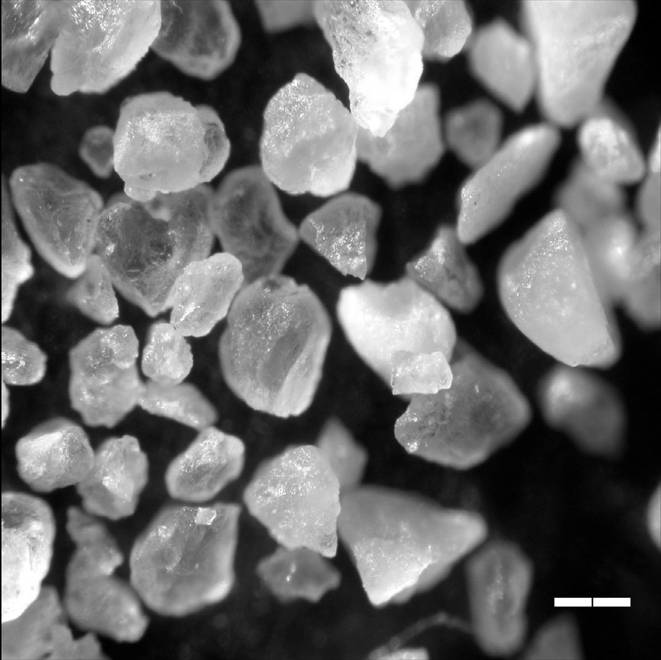Grains of sand, magnified