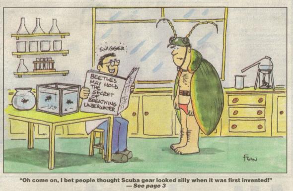 Cartoon from Nottingham Evening Post