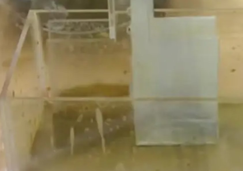 Image of a self-cleaning card