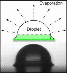 Evaporation on a SLIPS surface
