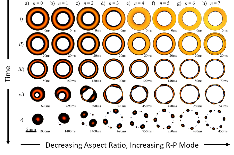 Different dewetting modes of a torus-shaped fluid film