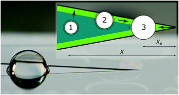 Cheerios effect on V shaped surface