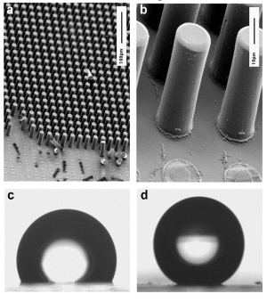 Polymer microposts and droplets
