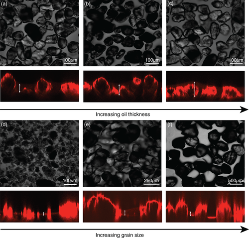 Image of oil impregnated model hydrophobic soils