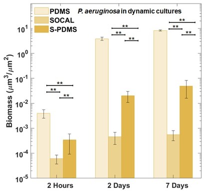 Comparison of biomass on different surfaces