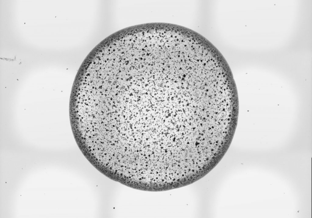 Image of a mucus droplet